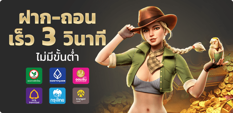 โปรโมชั่น aphodam